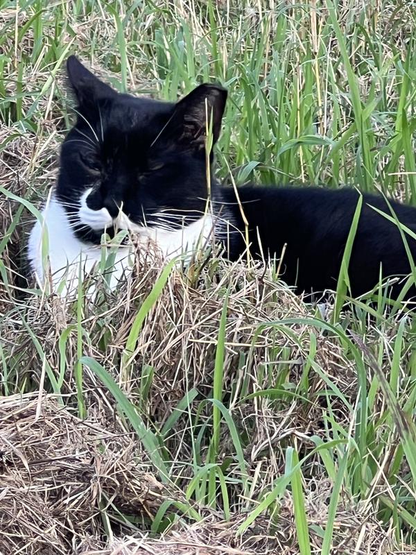 Zipper watches for the Chewy delivery.