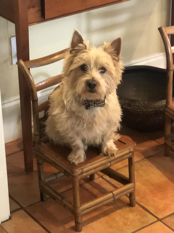 Did you say TREAT?!!!!