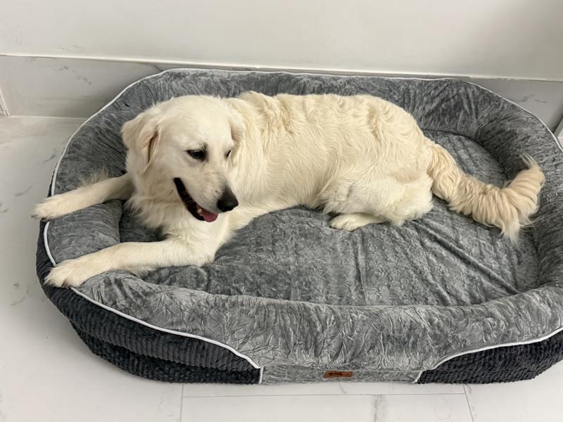 KYLINSURE All-Around Orthopedic Bolster Dog Sofa Bed with
