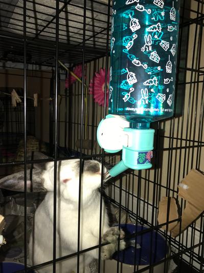 see you can have a bigger bottle, and it still works perfectly !