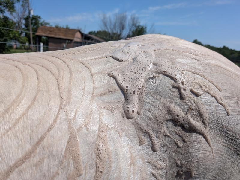 All that dirt the suds are pulling up!