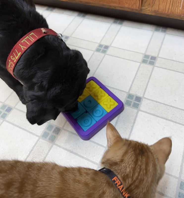 Even my cat enjoyed it!