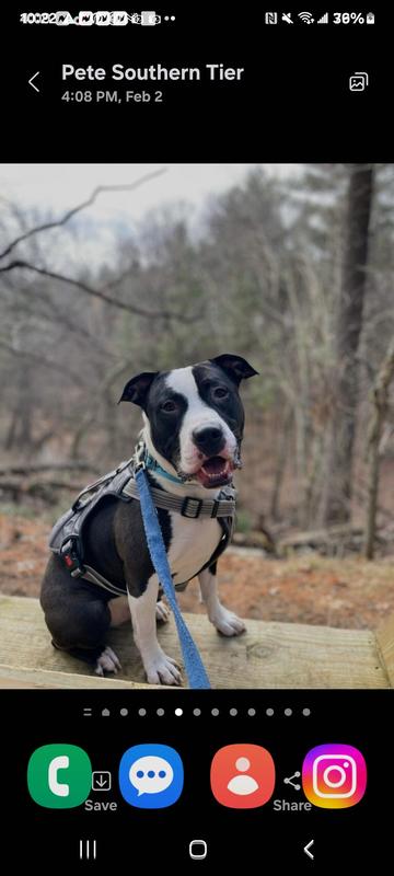 Ron absolutely loves  chewy