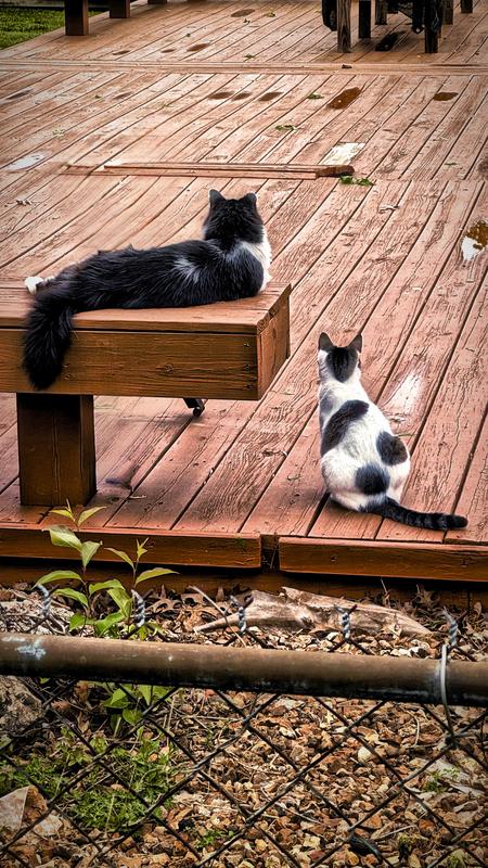 Minnie and Button