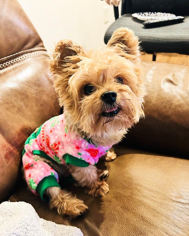 Chloe sitting pretty in her winter pjs.