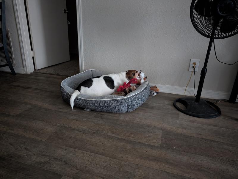 She guarded her toys for hour or so