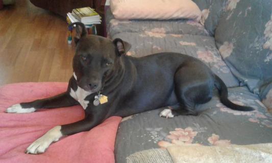 MY BABY "MAX"