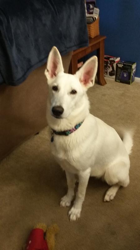 Roxie at her finest!