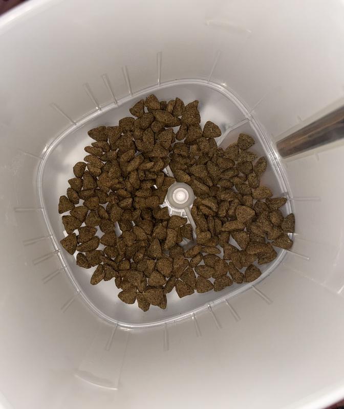 Inside the feeder. It holds a large amount of food!