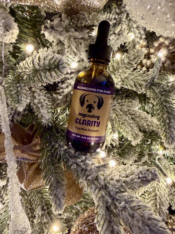 Perfect stocking stuffer!