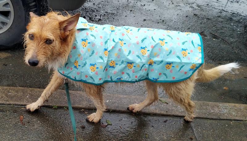 Mischief in rain jacket