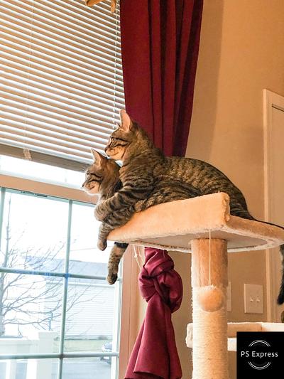 Sibling love