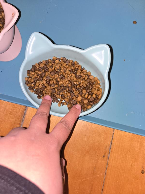 Food Size Smaller, Pricing is Ridiculous