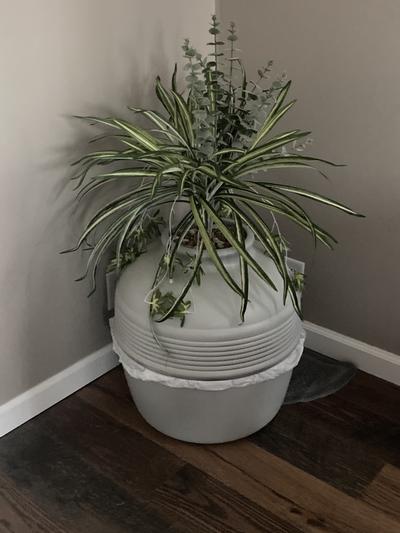 Plant hidden cheap litter box