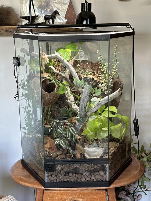 Love Waldo’s enclosure.