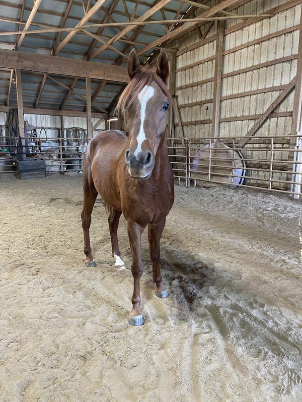 Helped him calm dawn when he gained weight too