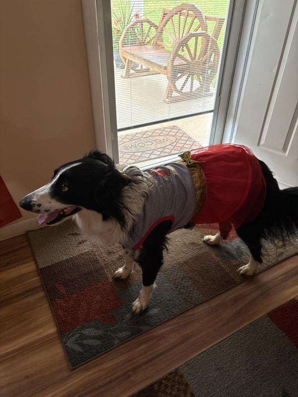 Sassy styling and profiling!! Can’t wait to hear all the brags on her and her beautiful dress!!