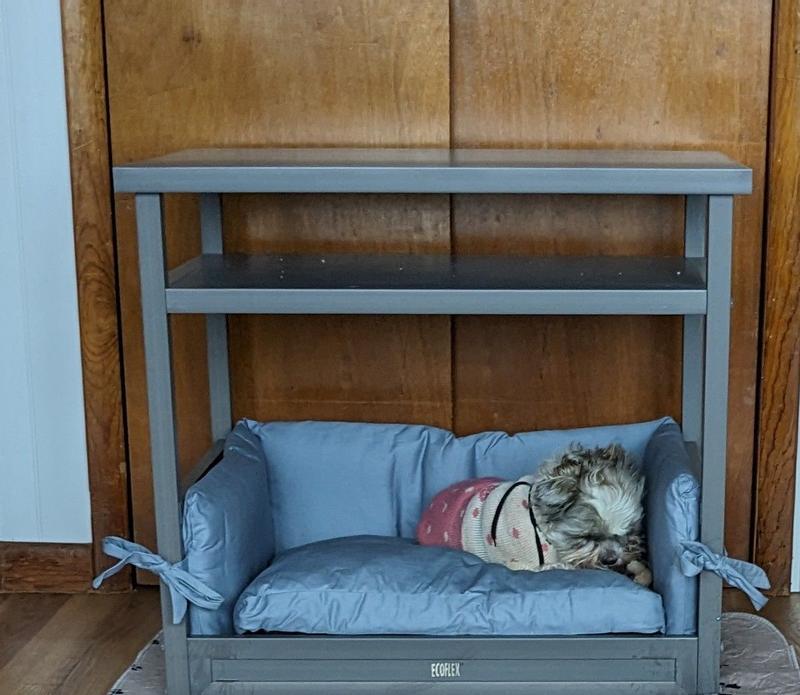 Mia hiding from Sammie