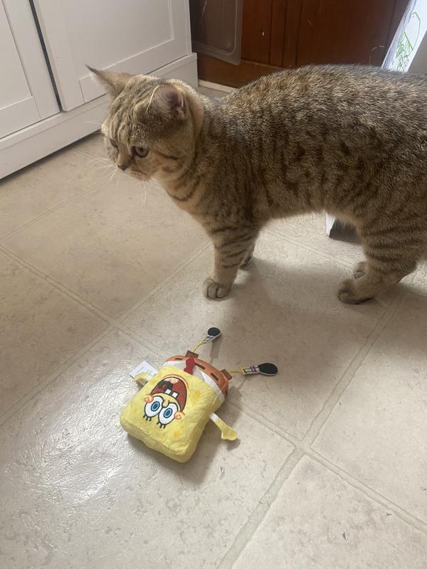 スポンジボブ様 キャット スポンジボブ様 キャット Amazon.co.jp: Mighty Jaxx Freeny's Hidden