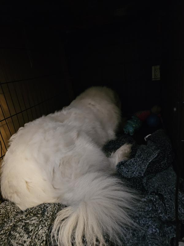 Sia hiding her treat!