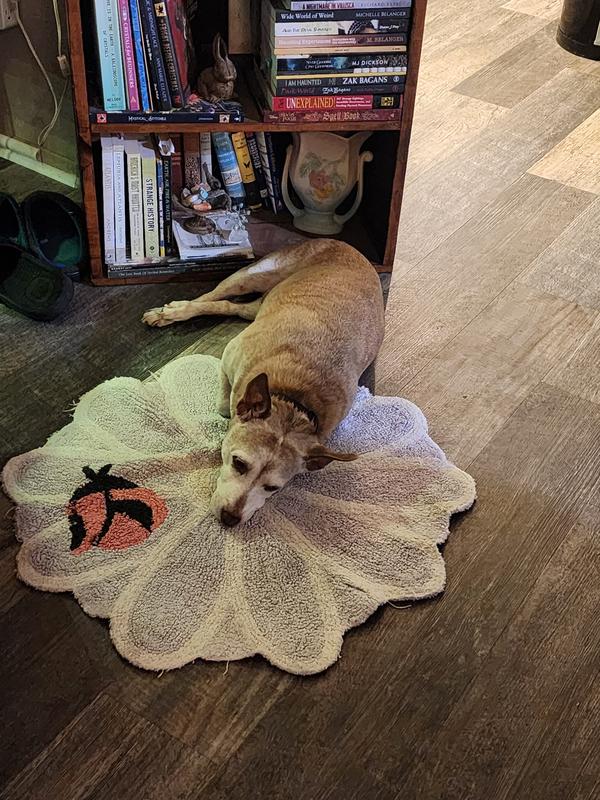 My oldest is 15, Bella