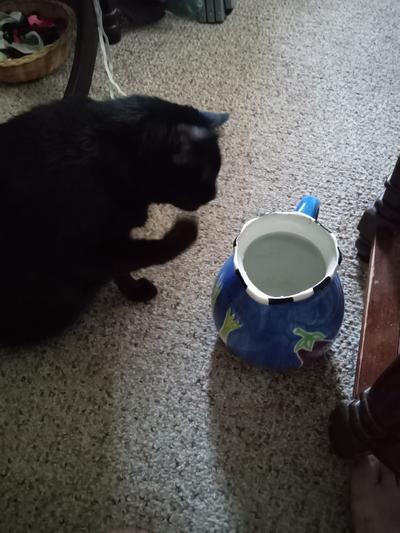 Her own water pitcher