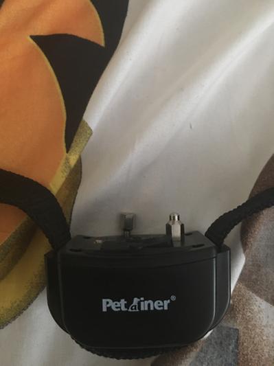 Petrainer 998drb clearance review