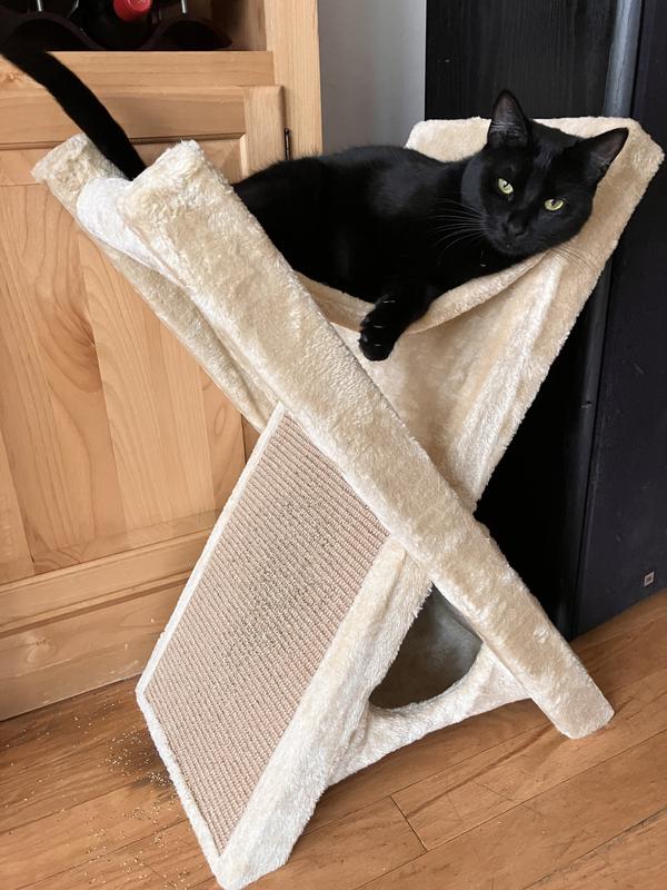 Gitty loves her new lounger