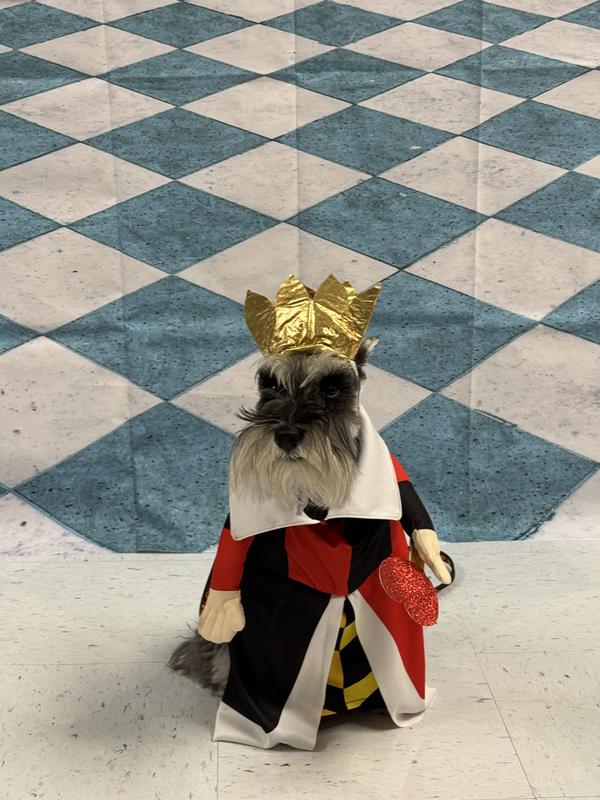 Attending an Alice in Wonderland Tea party