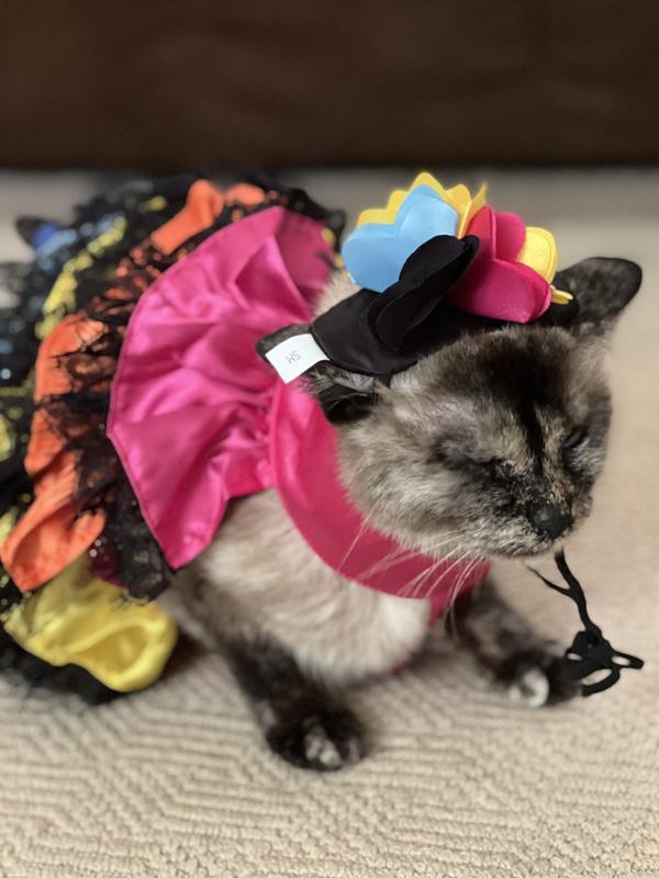 Frisco Princess Ruffled Dog & Cat Dress