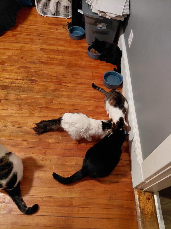 They were happy to get more in