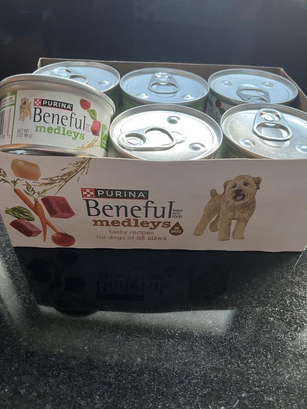 Purina Beneful Superfood Blend with Lamb & Trout in Sauce Wet Dog Food