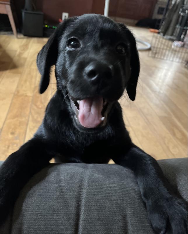 Look ma I escaped!!!