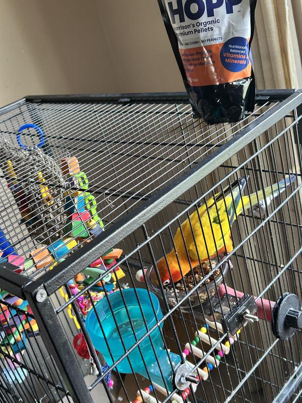 Let’s see what’s for lunch today