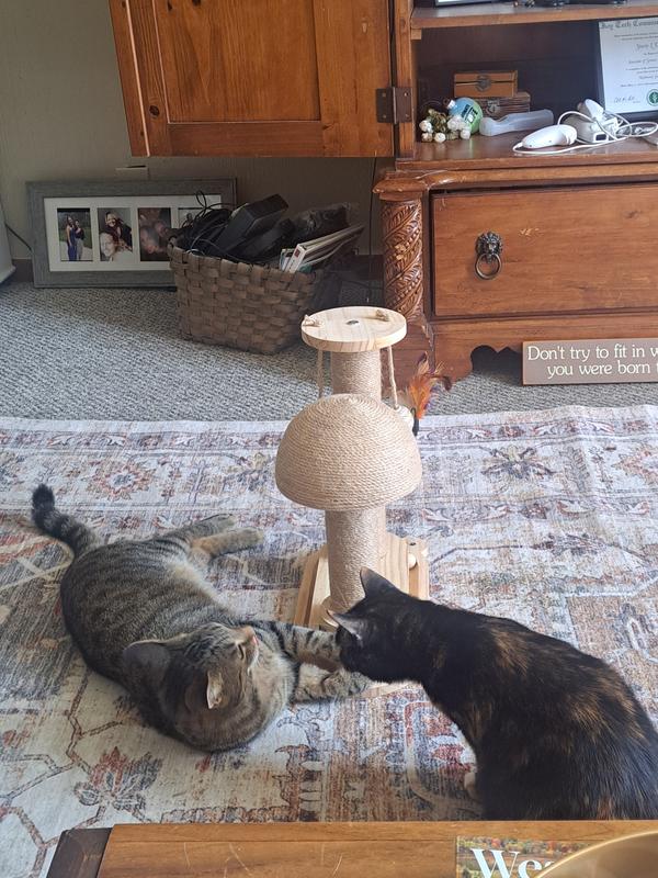 Constant work in progress