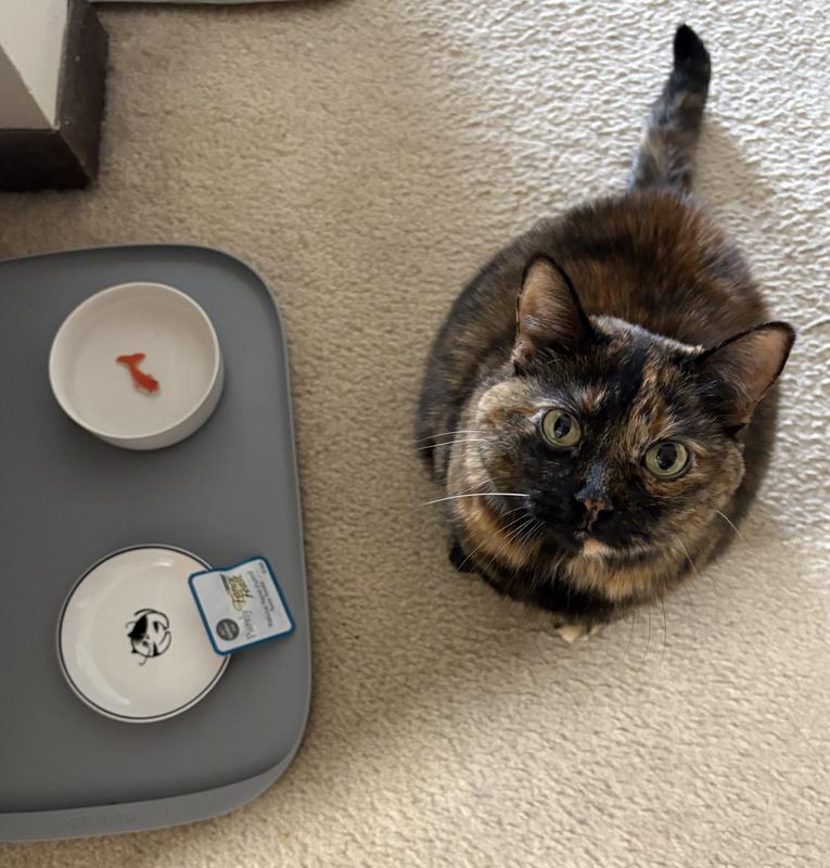 “Open it, please!”