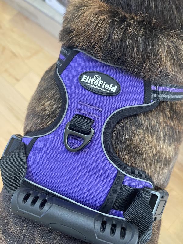 Very small D ring on XL size, doesn’t look strong enough for my 95 LB Cane Corso