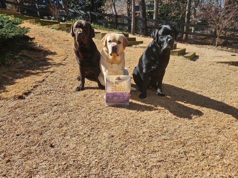 We're sitting! Treat us now!