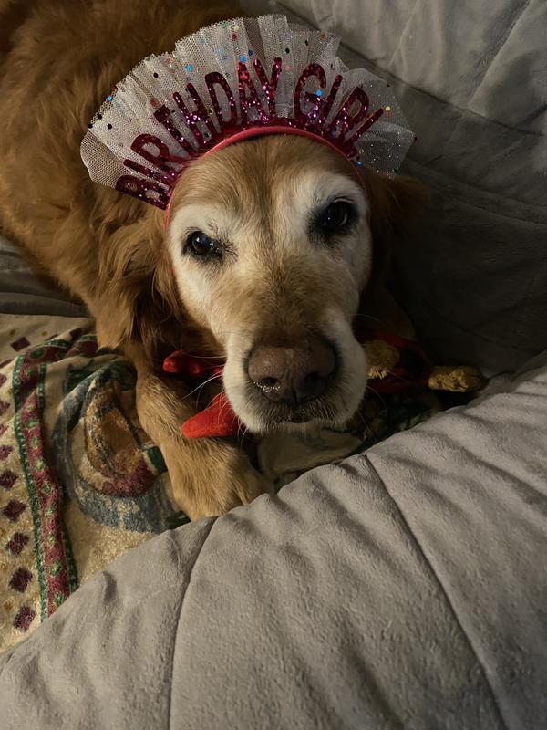 Callie turned 14