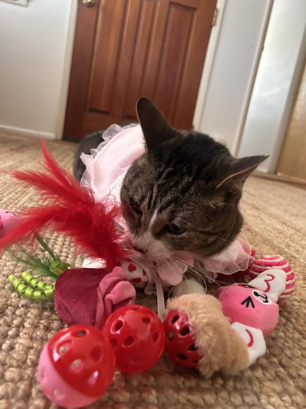 Hoarding the toys from his sibling