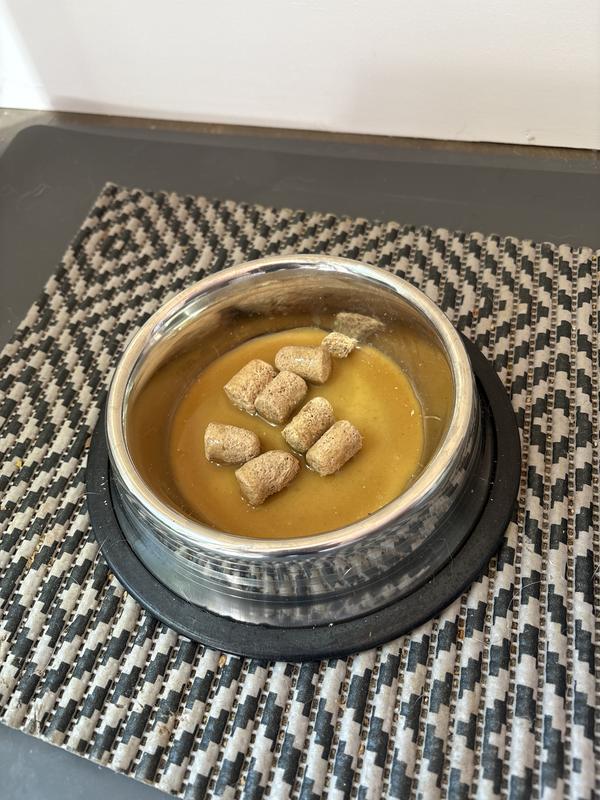 Bone Broth For Dogs Stella Chewy's Bountiful Bone Broth Dog