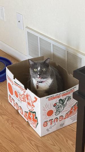 She liked the taste too
