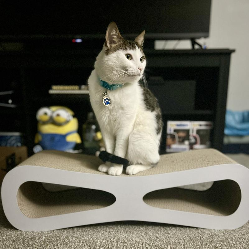 COZIWOW Wave Cat Scratcher Lounge Toy with Catnip, White - Chewy.com