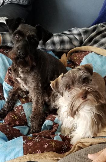 The girls!!