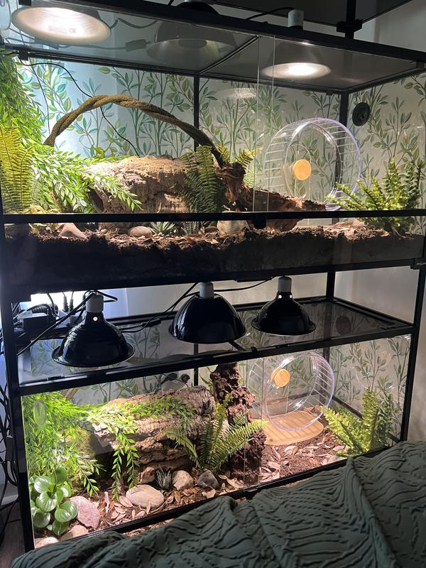 High quality substrate mix for a desert bioactive enclosure.