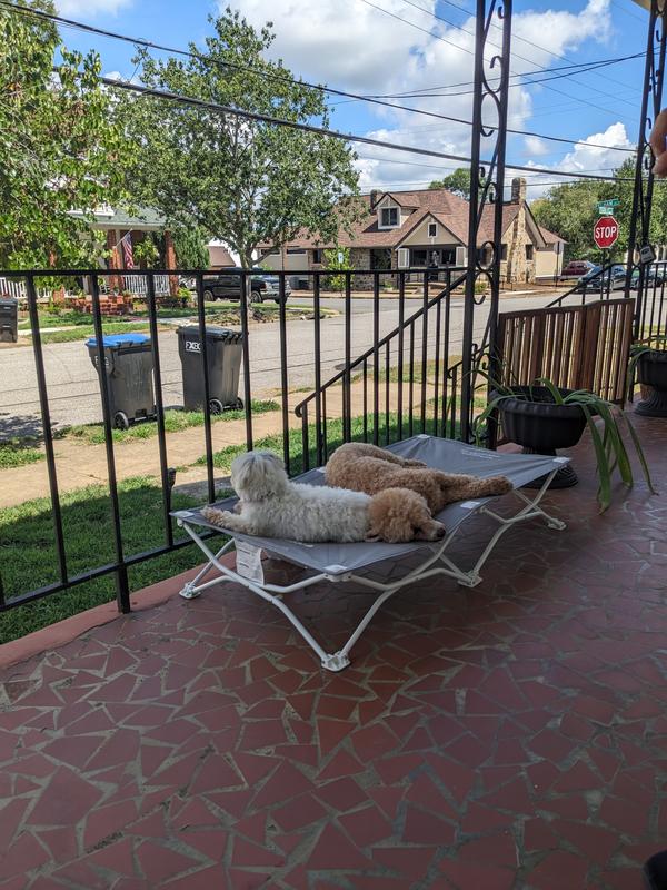 Very spacious and comfortable