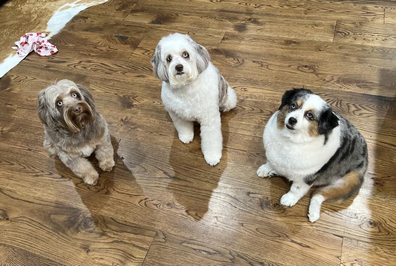 Bourbon, Baby and Whisper