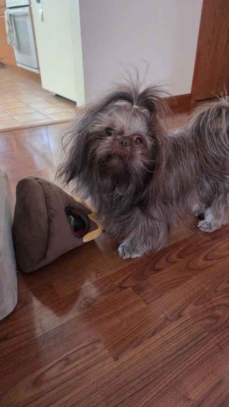 Playing with our new toy