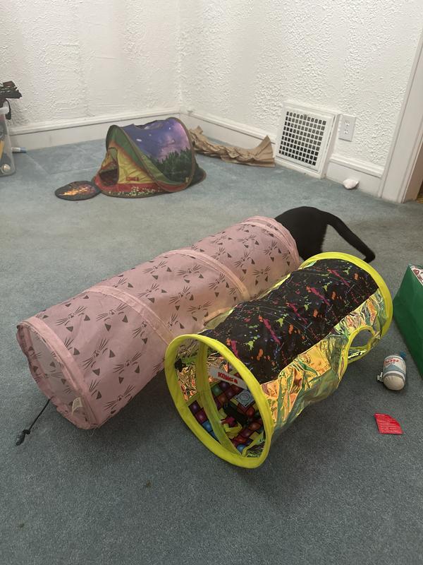 Even my cat still would rather go in the bigger tunnel and look at the size comparison. I got the pink tunnel at 5 below
