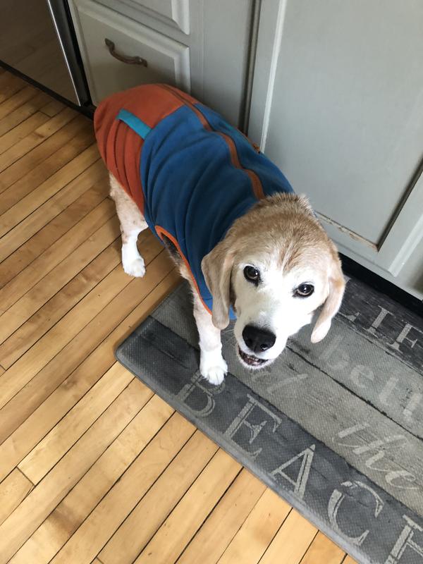 Colin is happy with his cool jacket.